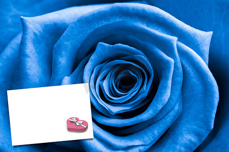 蓝玫瑰特写的复合图像
