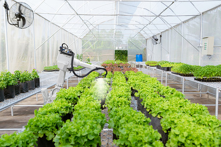 农业工作摄影照片_农业未来机器人自动化中的智能机器人农民