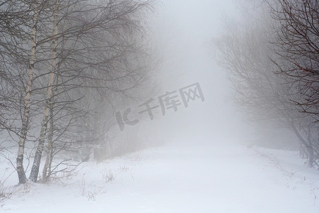 雾中的雪路