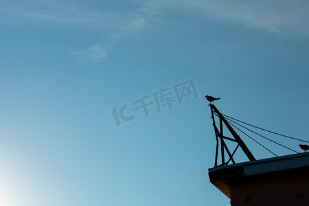 海鸥剪影摄影照片_坐在 Bu 顶部金属杆上的海鸥剪影