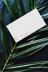 深色石头背景和绿色异国情调叶子上的白色名片平铺、豪华品牌平铺和品牌标识设计模型