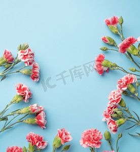 母亲节节日问候礼物的概念，在明亮的蓝色桌子背景上配有康乃馨花束