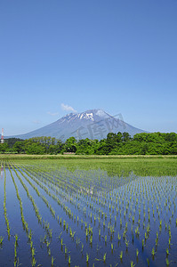 岩手山和田园风光