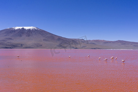 红湖摄影照片_红湖，玻利维亚，南美洲