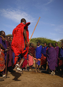 非洲舞摄影照片_马赛人表演武士舞。