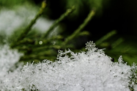 美丽的白色雪花晶体