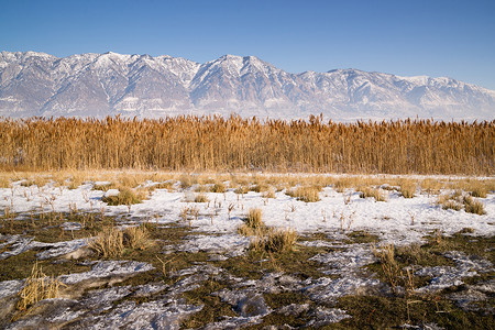 阳光山脉摄影照片_犹他州湖滨公路植物生长后的白雪覆盖的山脉
