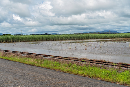 暴雨导致甘蔗田被洪水淹没