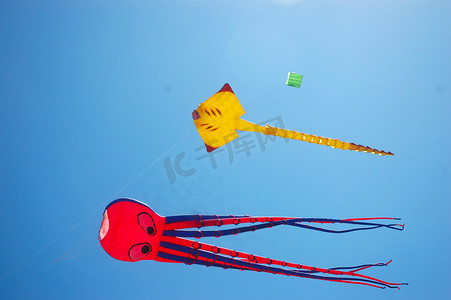 风筝玩具摄影照片_庞岸达兰国际风筝节