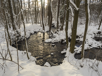 树下的石头摄影照片_白雪覆盖的森林水流溪流，树木、树枝和石头，黄金时段阳光下田园诗般的冬季景观