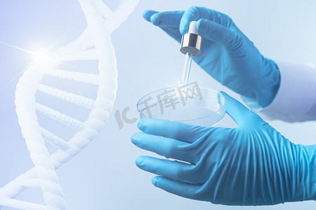 细胞培养皿摄影照片_科学家手拿着带有 DNA、科学背景的培养皿。 