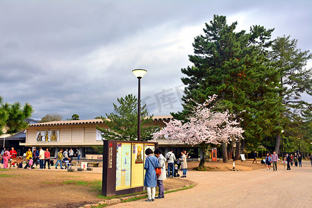 日本奈良奈良国立博物馆信息板