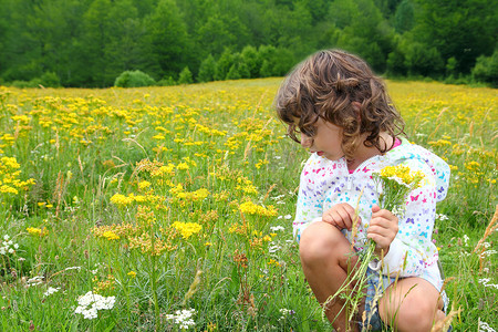 黄春草地上采花的女孩