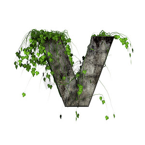 3d 石字母-v 上的绿色常春藤