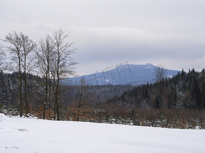 冬天森林乡下积雪的风景、树和小山