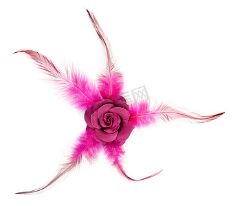 刺绣银杏摄影照片_带羽毛的粉色玫瑰面料