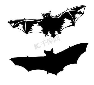蝙蝠群摄影照片_在白色背景上蝙蝠的矢量剪影