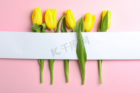 美丽的郁金香与浅色背景上的空白卡，顶视图。