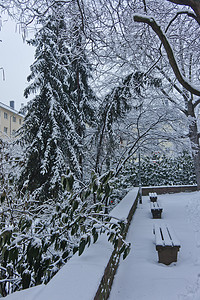 法兰克福，雪天旧城景，德国，欧洲