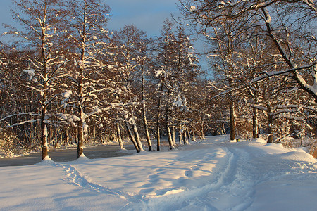 冬天雪路