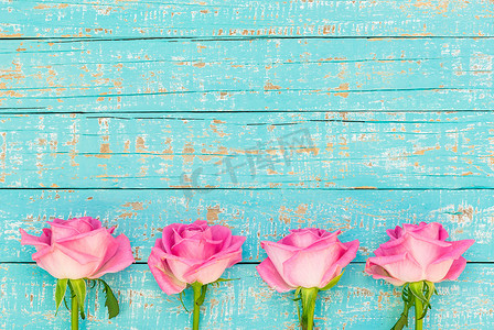 柔和的蓝色木质背景与新鲜的粉红玫瑰