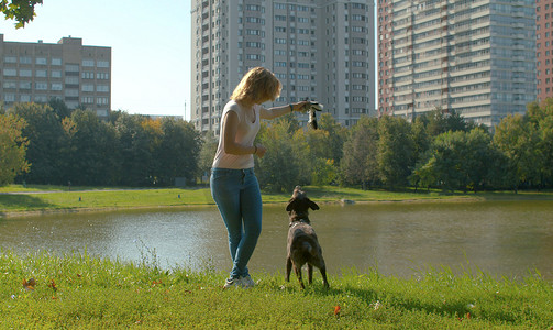 年轻的女主人和她的狗玩耍