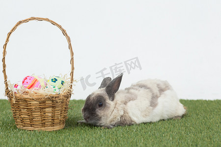 草地上放着一篮子鸡蛋的复活节兔子