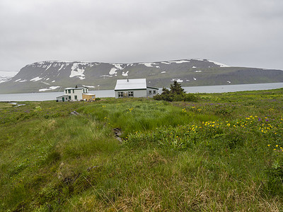 在偏远的自然保护区 Hornstrandir 的冰岛西部峡湾的废弃村庄 Heysteri 的景色，白色的小房子有郁郁葱葱的绿草，峡湾，海湾白雪覆盖的山丘和阴郁的灰色天空