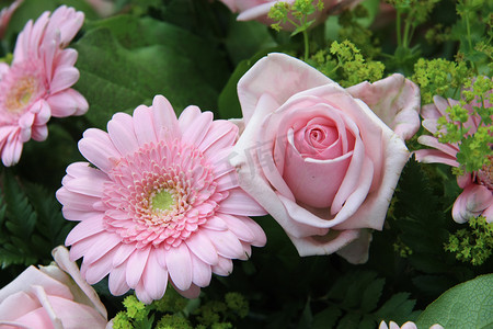 柔和的粉色玫瑰和非洲菊