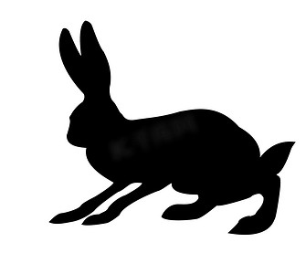 在白色背景下被隔离的兔子的矢量剪影