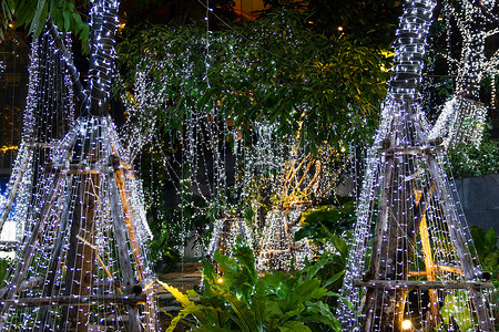 硅胶灯串摄影照片_夜间花园树上的 LED 灯串电缆