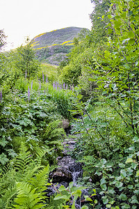 挪威海姆瑟达尔森林中美丽的小天然河流。