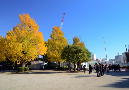 日本东京 — 2013 年 11 月 22 日：游客在上野公园欣赏五颜六色的树木