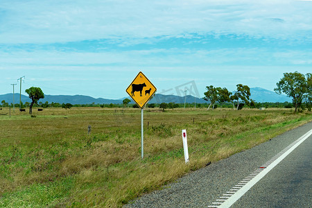 农村公路上的牛过马路标志