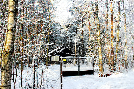森林中房子的美丽冬季景色