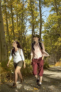 道名摄影照片_走在穿过森林的道路上的两名女性徒步者的全长