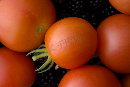 7 - 黑莓背景上的红番茄，单色纹理。