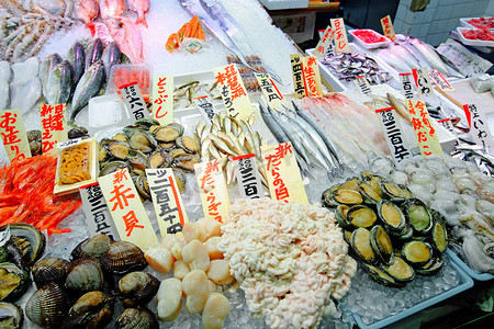 广告海鲜摄影照片_鱼市日本料理