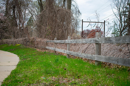 人行道旁被枯藤覆盖的旧木栅栏
