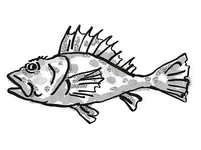Western Scorpionfish 澳大利亚鱼卡通复古画