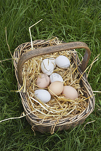 草地俯视图摄影照片_草地上篮子里鸡蛋的特写高视图
