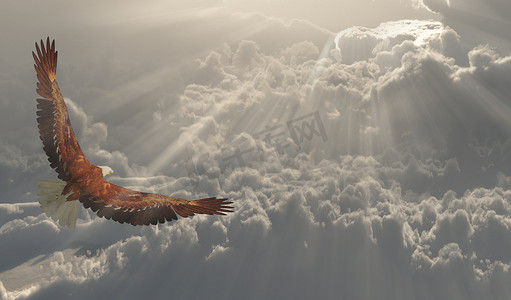 翅膀gif图摄影照片_雄鹰在云端翱翔
