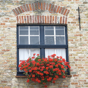 窗户上开着红色花朵的老建筑