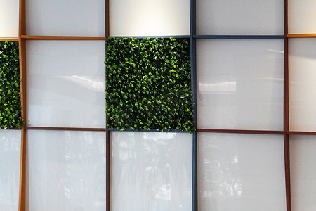 由人造绿色植物和有机玻璃制成的墙，室内人工景观。