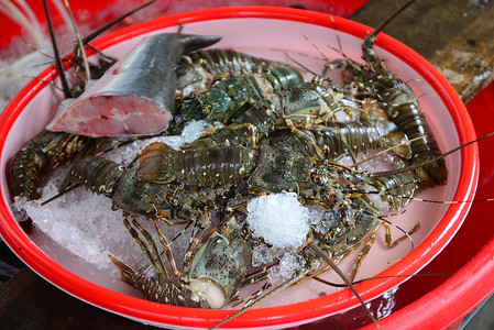 龙虾卖在新鲜的海鲜市场上