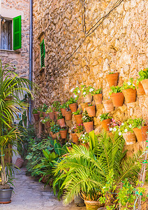 文化墙村摄影照片_西班牙马略卡岛 Valldemossa 村带花盆的房屋墙