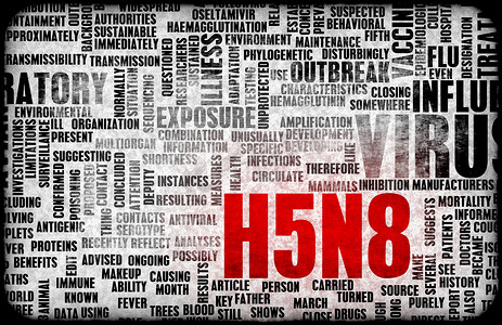 H5N8