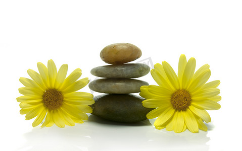石头和黄色的花朵
