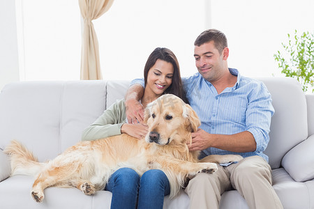 一对夫妇坐在沙发上抚摸着狗