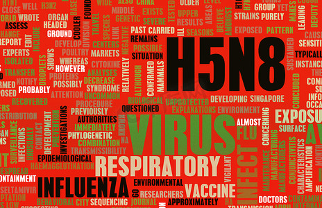 H5N8